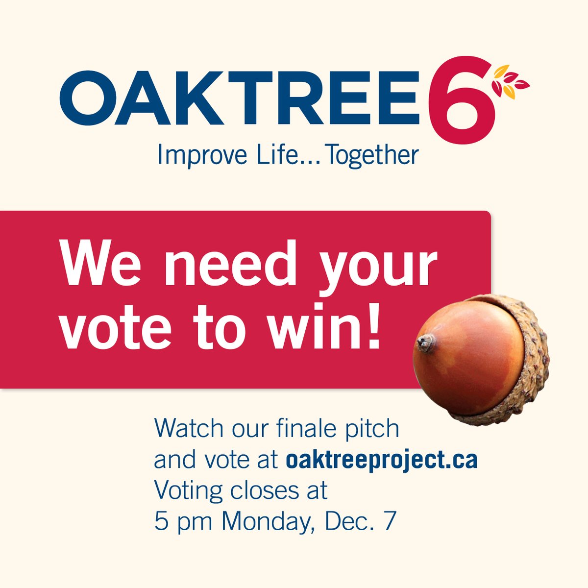 CMHAWW's tweet photo. Last day to VOTE for @GuelphIysn! 

⁣@GuelphIYSN is a finalist for The Oak Tree Project. Please visit https://t.co/1VTpKA1f7T to VOTE today before 5pm. 
@oaktreeguelph 
⁣
#votenow #OakTreeProject https://t.co/L88eXa8Osh