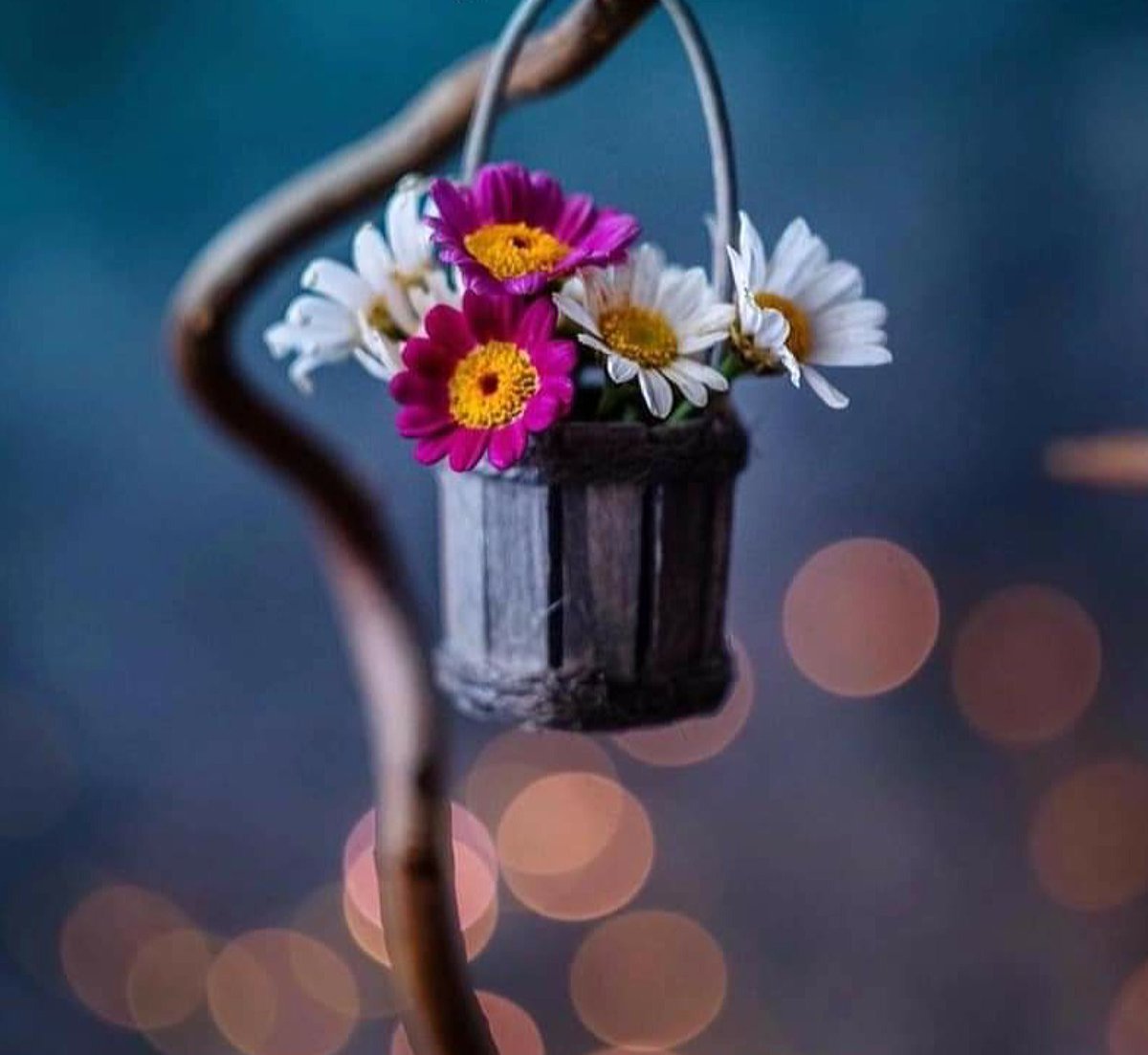 🕊
   Sen Allah' a güven!

Hiç beklemediğin anda,

   çiçek açar umutlar...

                 💙

/Mevlana🌿

🌸 Hayırlı Akşamlar __

#akşam #günbatımı #pazartesi
#aralık #kış #mevsim
#hayat #insan #zaman
#Mevlana #ilahiaşk #tasavvuf
#iyiakşamlar #hayırlıakşamalar
#mutluakşamlar