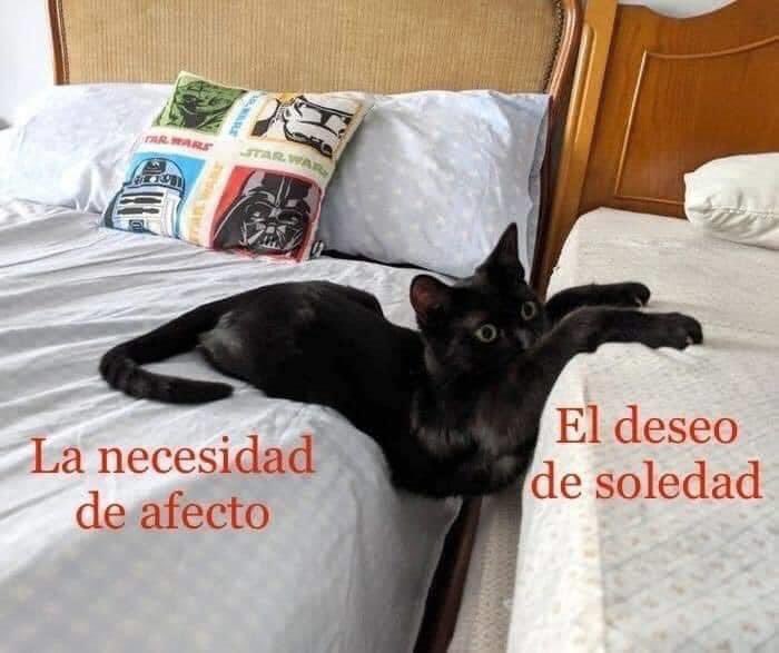 Fuck (@laquesok) on Twitter photo 