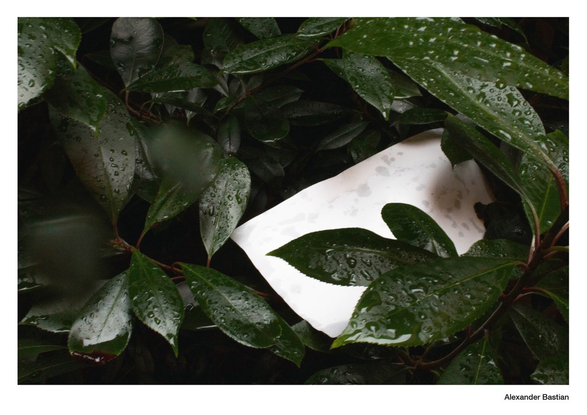 DA_Rostock's tweet photo. Papier kann einfach so schön sein. Ein Fotoprojekt unter Leitung durch Thomas Häntzschel. Sau geil!

#Designakademie #Rostock #Papier #Fotografie https://t.co/CDCGAdQ65u