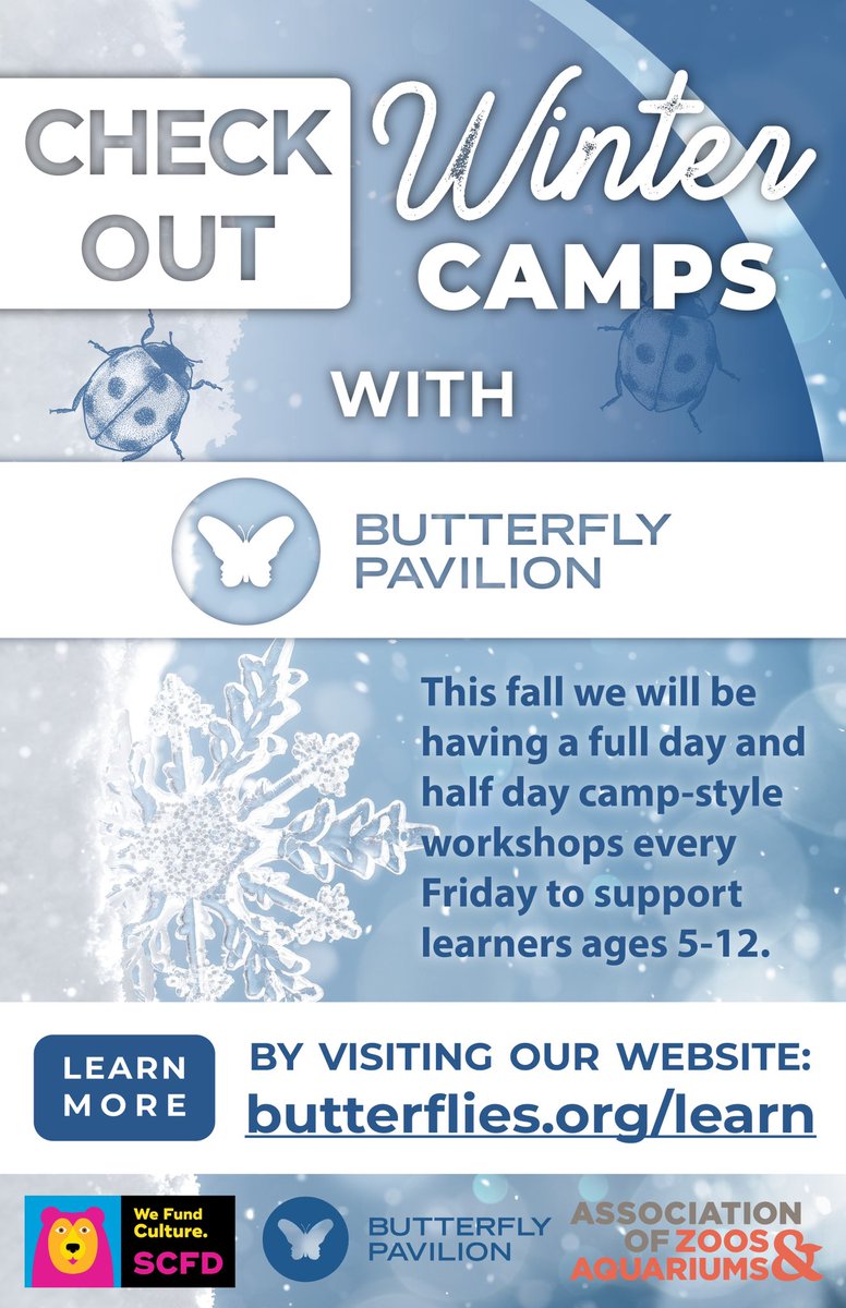 Northglenn HS STEM (@northglennstem) on Twitter photo Butterflies in the winter?!?! Say less #butterflypavilion #wintercamps #invertebrates #gottago <a href="/B_flyPavilion/">Butterfly Pavilion</a> Butterflies in the winter?!?! Say less #butterflypavilion #wintercamps #invertebrates #gottago <a href="/B_flyPavilion/">Butterfly Pavilion</a>