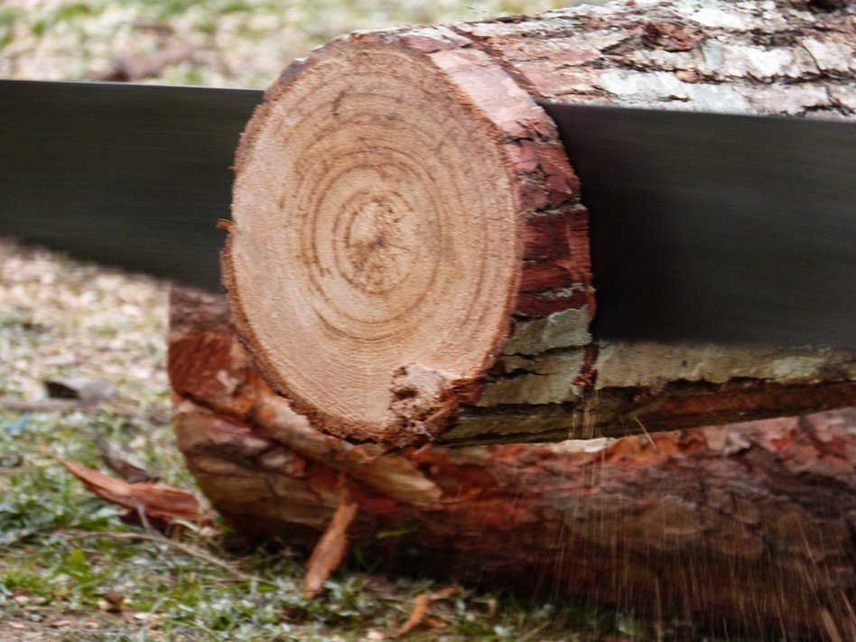 Sincrum IT tweet media