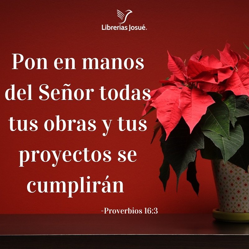 libreriasjosue's tweet photo. En mejores manos no pueden estar! https://t.co/VpQhFzxvtT