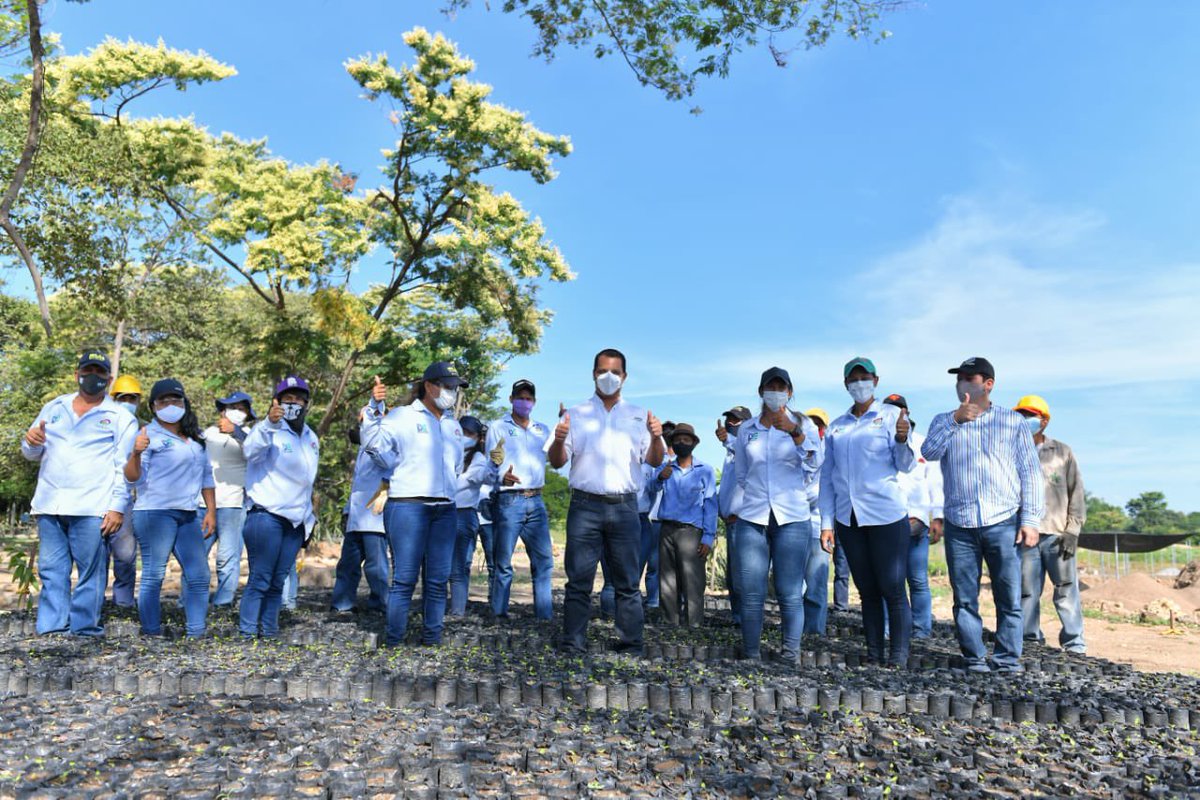 luismonsalvo's tweet photo. Inspeccionamos el Vivero Dptal en donde se procesarán 2 mill de árboles por año. Este 21 dic. entregaremos la 1ra fase.
Me alegra saber que 30 mujeres cabeza de hogar, con sus manos laboriosas, se encargan de la sombra de los árboles. También generamos 50 empleos indirectos. https://t.co/hDNEp5BDWf