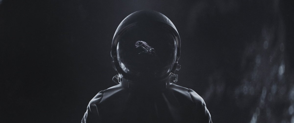 Entropi Studio tweet media