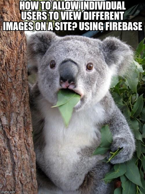 overflow_meme's tweet image. How to allow individual users to view different images on a site? Using Firebase stackoverflow.com/questions/6517… #javascript #usercontrols #html #authentication #firebase