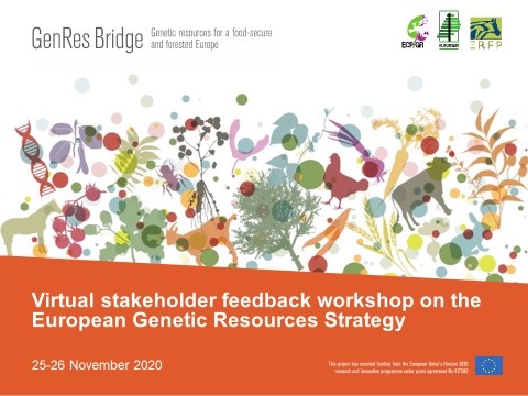 BZL_aktuell's tweet photo. Ein weiterer Meilenstein für #GenResBridge: die Zusammenfassung des Feedback Workshops zur Europäischen Strategie für Genetische Ressourcen ist jetzt online.
➡️https://t.co/qeH9m1KjT3
#biologischevielfalt #IBV https://t.co/RzIa5Qcvks
