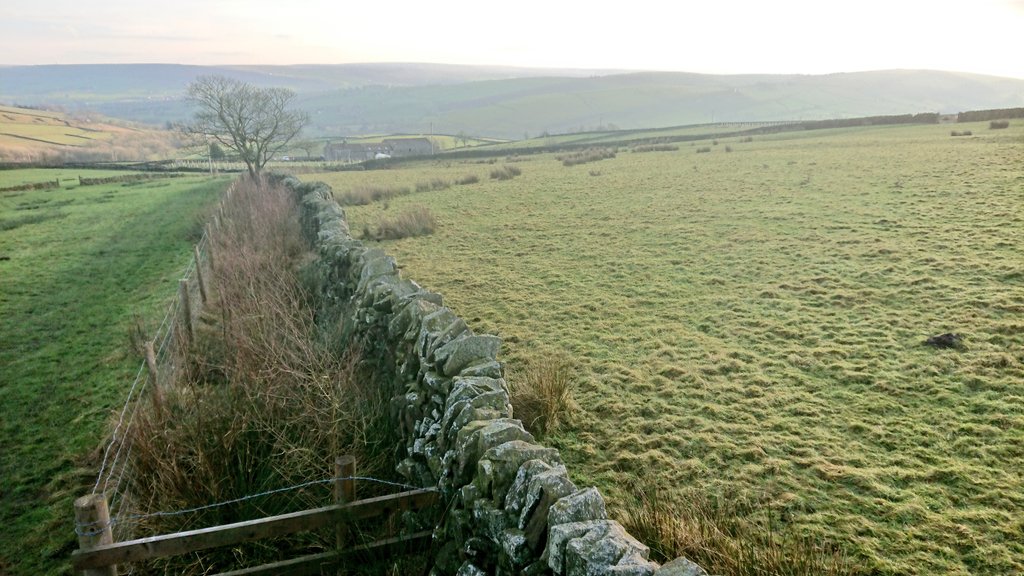 LothersdaleWG's tweet photo. Missed #NationalTreeWeek but a quick walk around several of our village sites helped via @WoodlandTrust &amp; @TCVtweets to see how our planting has inspired others... Now up to ~24k trees &amp; >80 volunteers
#TreeLC #spreadthelove #SoilHealth #NFM #IDigTrees #naturalfloodmanagement https://t.co/2MxHcAepUu