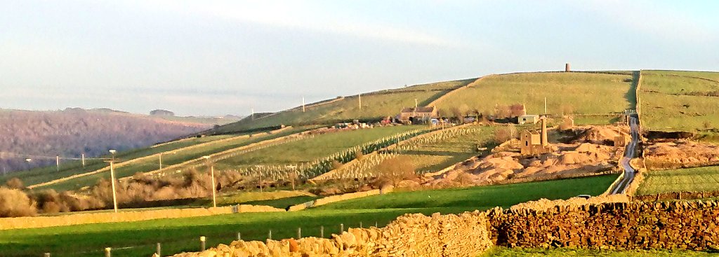 LothersdaleWG's tweet photo. Missed #NationalTreeWeek but a quick walk around several of our village sites helped via @WoodlandTrust &amp; @TCVtweets to see how our planting has inspired others... Now up to ~24k trees &amp; >80 volunteers
#TreeLC #spreadthelove #SoilHealth #NFM #IDigTrees #naturalfloodmanagement https://t.co/2MxHcAepUu