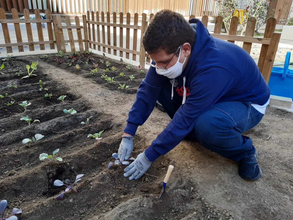 sjdceesanrafael's tweet photo. Puesta a punto de nuestro #huertoescolar dentro de las actividades del #tallerdehogar de la etapa educativa de #PTVAL #educacionespecial #Granada #colegioscreativos #EDUCACION #venaconocernos Recuerda que tenemos matrícula abierta todo el curso escolar #matrículaextraordinaria https://t.co/DpQJfqdcgB
