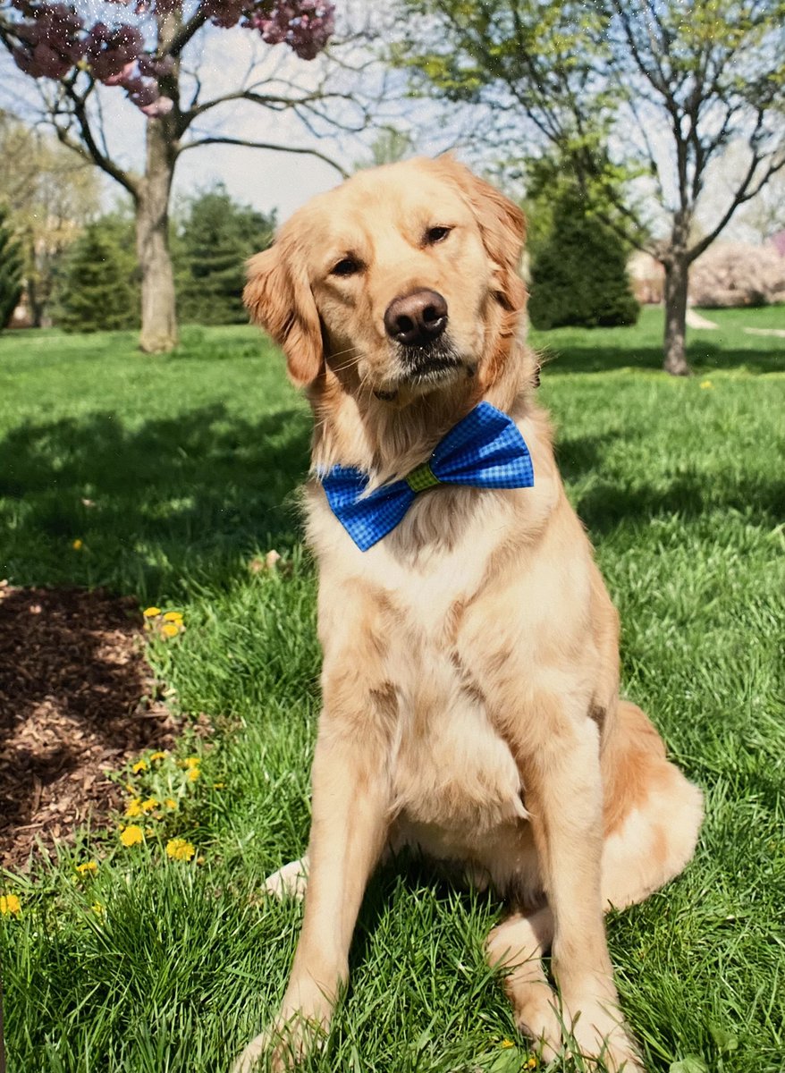 Anyway, nobody has impacted my life like Moses and I will love him forever and if you have enjoyed his work through the years (such as the time he spoke on the show or the other time he spoke on the show), please consider being nice to someone todayHAPPY BIRTHDAY TO THE LEGEND