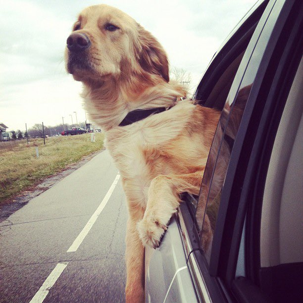 Anyway, nobody has impacted my life like Moses and I will love him forever and if you have enjoyed his work through the years (such as the time he spoke on the show or the other time he spoke on the show), please consider being nice to someone todayHAPPY BIRTHDAY TO THE LEGEND