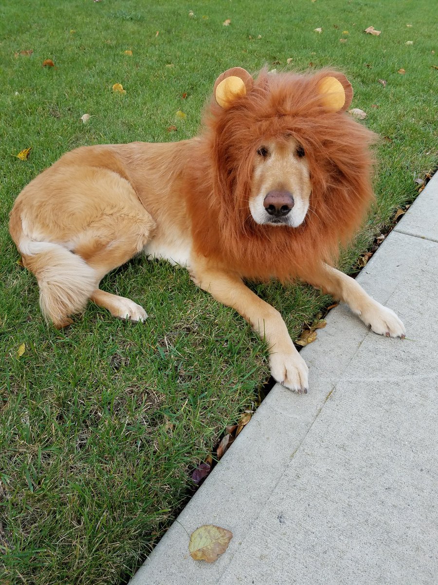 Anyway, nobody has impacted my life like Moses and I will love him forever and if you have enjoyed his work through the years (such as the time he spoke on the show or the other time he spoke on the show), please consider being nice to someone todayHAPPY BIRTHDAY TO THE LEGEND