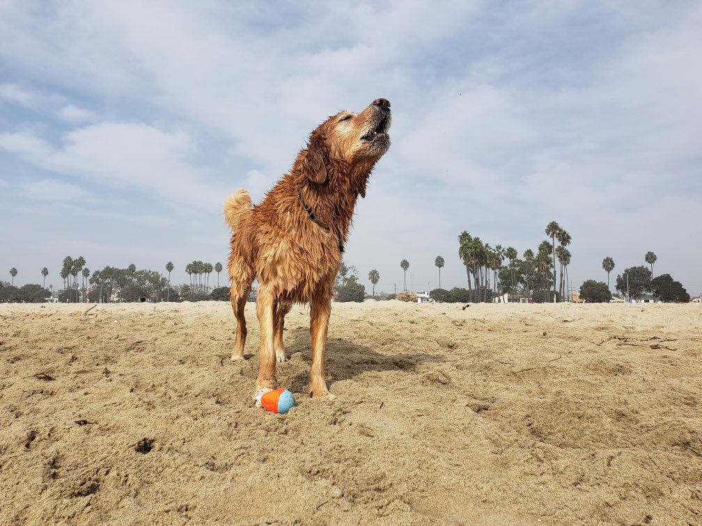 Anyway, nobody has impacted my life like Moses and I will love him forever and if you have enjoyed his work through the years (such as the time he spoke on the show or the other time he spoke on the show), please consider being nice to someone todayHAPPY BIRTHDAY TO THE LEGEND