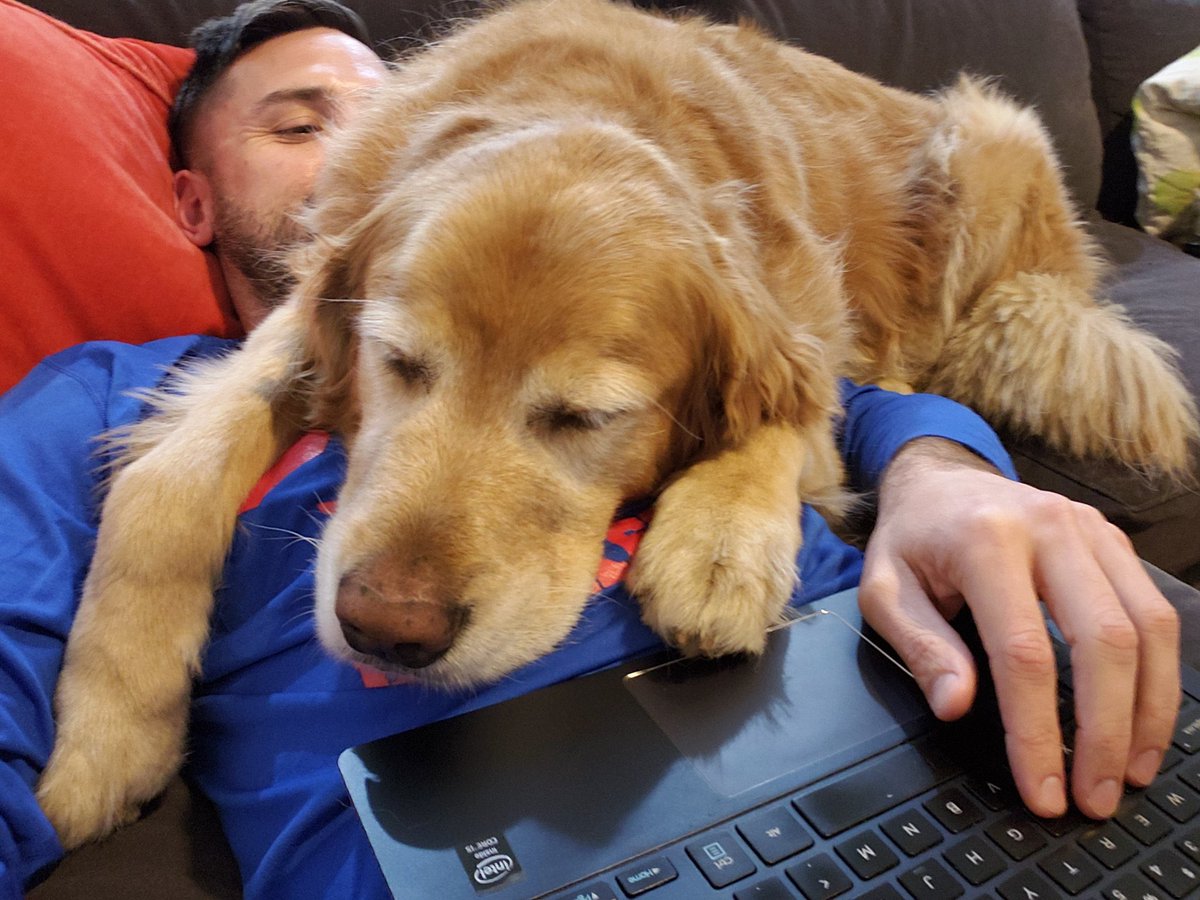 I was scared of dogs before I got Moses. Childhood thing I never got over.When I got him I was told I could take any pup I wanted. The cage opened, most took off running. One walked over, sat on my foot, and looked up at me.We've been attached at the hip ever since.