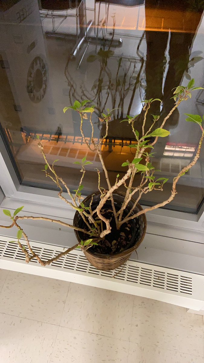 Or worse, like this: