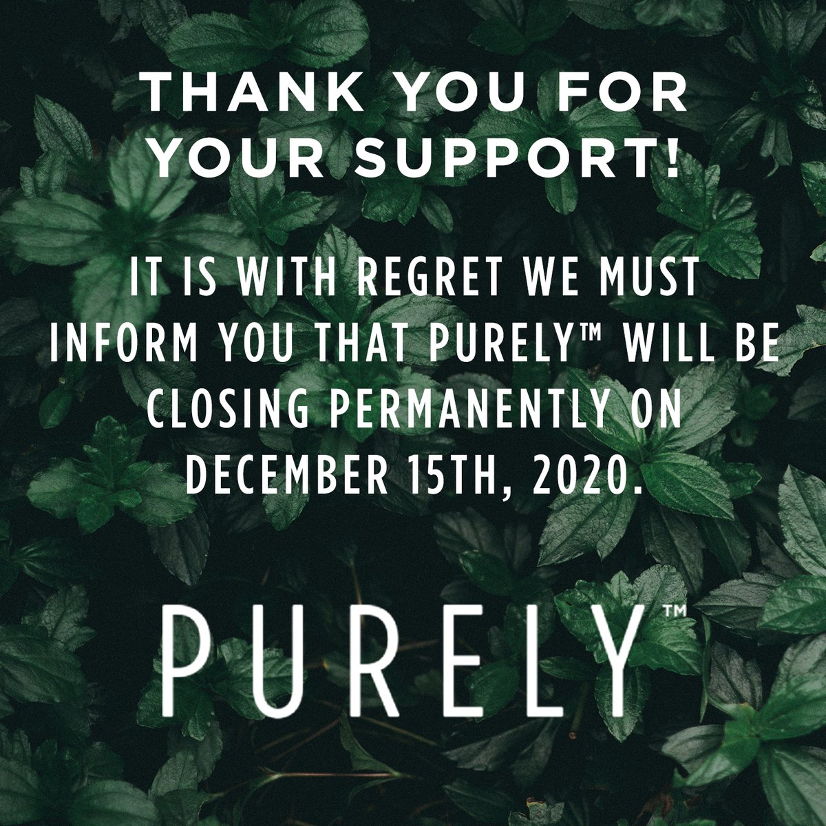 OPurely's tweet photo. PURELY™ has been manufacturing quality non-toxic and natural products since 2013. Unfortunately, in the current economy, we are unable to continue.

Our last day of operation will be on December 15th, 2020.

Please see our complete closing statement at https://t.co/OiAI9G4TMd https://t.co/KmMpNPvkJ4