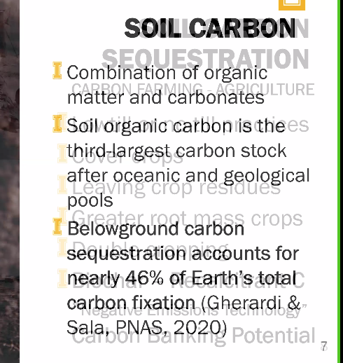 A bit of context from Greg: "Soil carbon is the third-largest carbon stock after oceanic and geological pools."