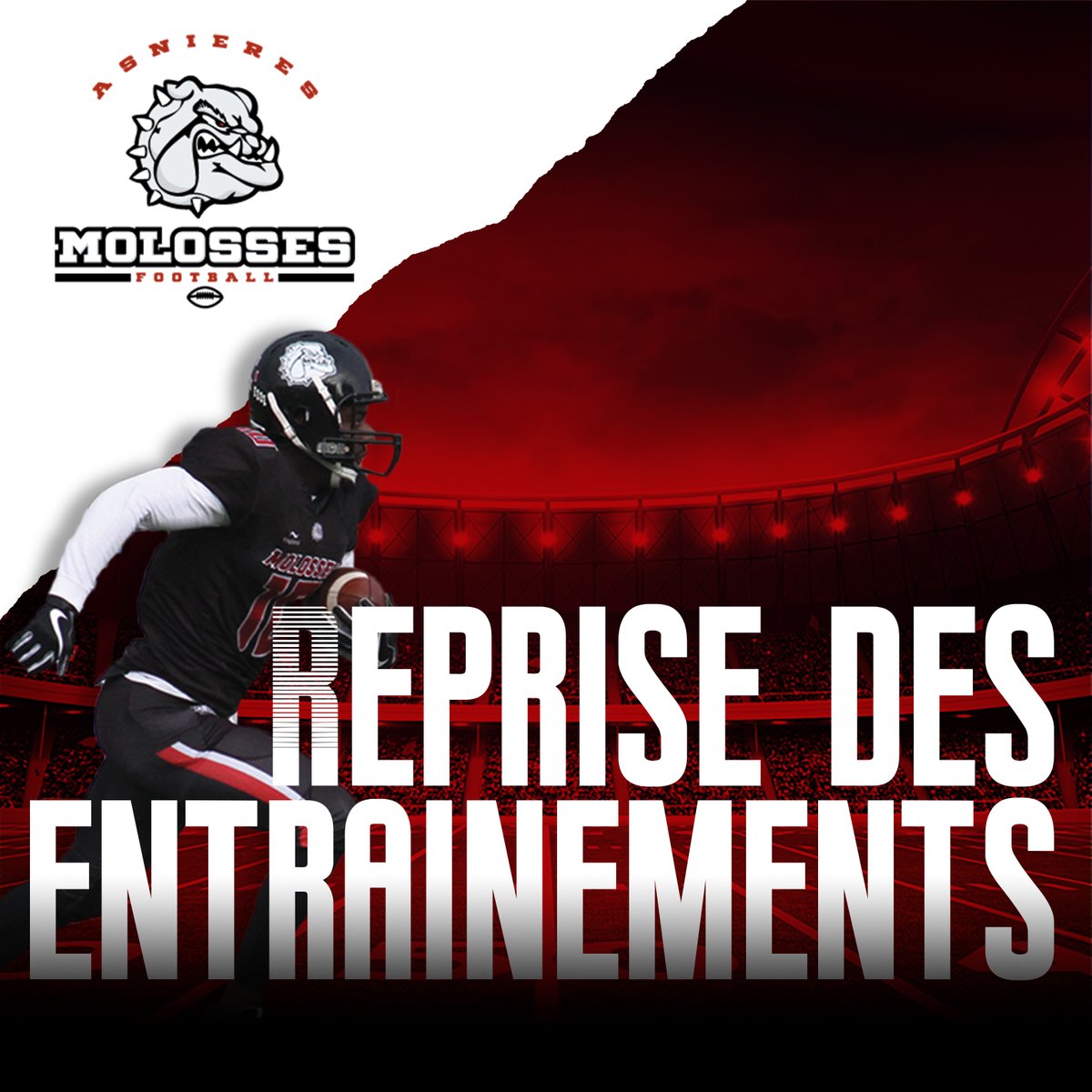 🏈Nous venons d'avoir le feu vert ! Les adultes peuvent reprendre les entraînements.

Les horaires ne changent pas, nous gardons nos créneaux habituels. On se retrouve donc sur le terrain dès ce soir pour les seniors 🏈