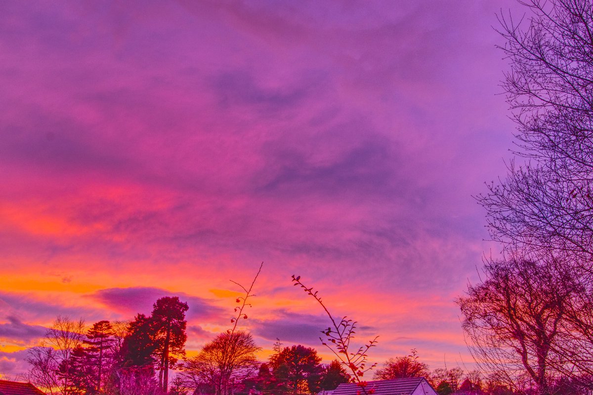 woodiechef's tweet photo. I wish I could do the #sunset true justice with my pics!
#sunsetphotography https://t.co/pmgpmDH33e