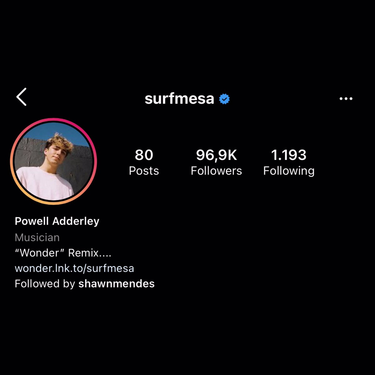 ShawnOnInsta's tweet photo. 👤 @/ShawnMendes started following @/surfmesa on IG https://t.co/sq5FJPmF5L
