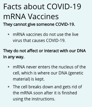 As described above, DNA uses mRNA to send instructions outside of the nucleus.mRNA does not enter the nucleus. mRNA does not change our DNA in any way. mRNA is a messenger - nothing more. Bottom line:  #COVID vaccines will not alter our DNA. Biology 101 and very, very cool.