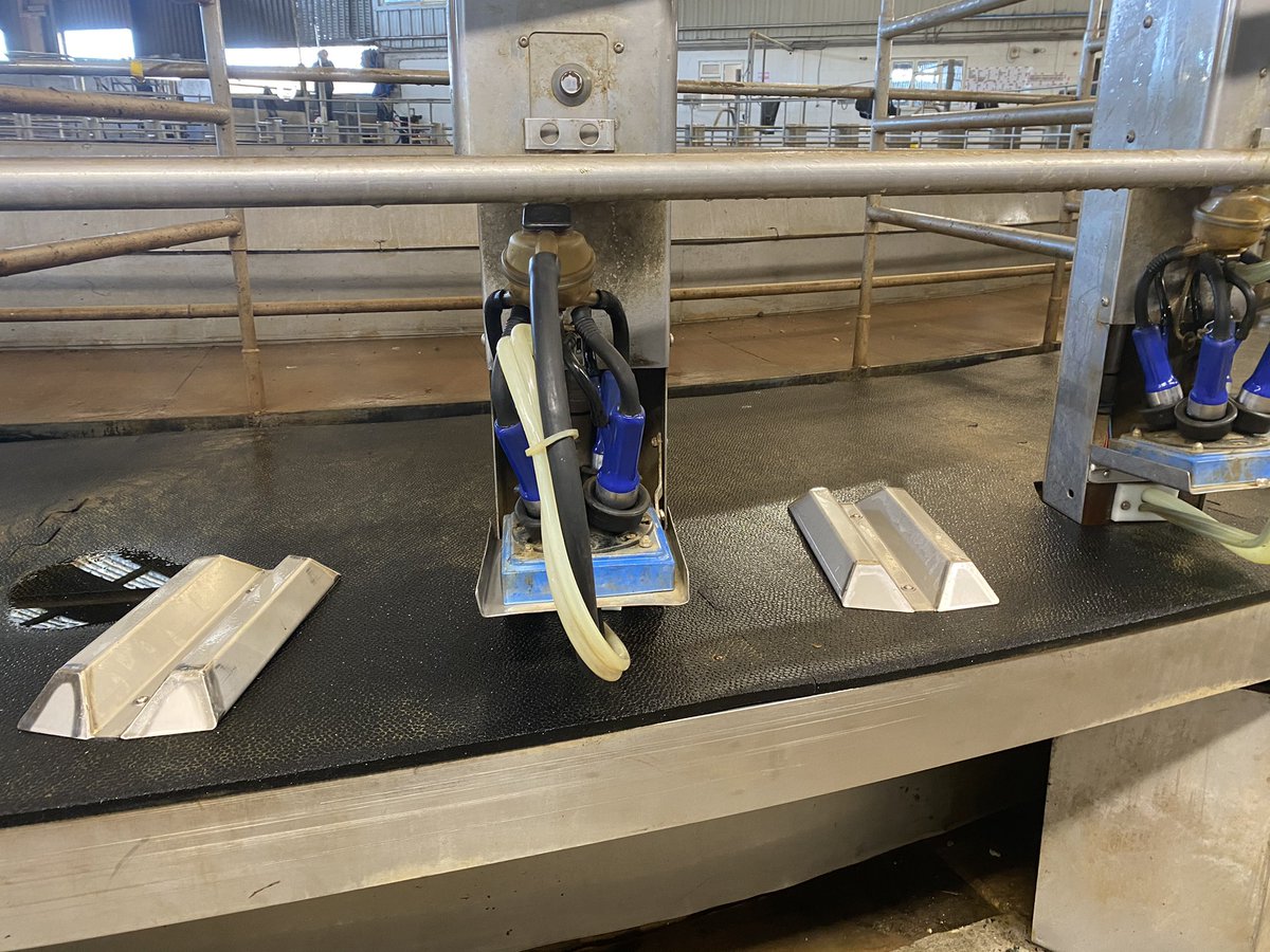 🚨 System Install 🚨

Automatic Teat Sprayer  

Country- UK
Parlour - Rotary 60
Herd size - 450
Milkings per day - x 3

Consistent spraying with excellent coverage while reducing labour.

Reduce costs 💰 
Improve teat and udder health 💉

Happy Cows 🐮 = Happy Farmers 👩‍🌾