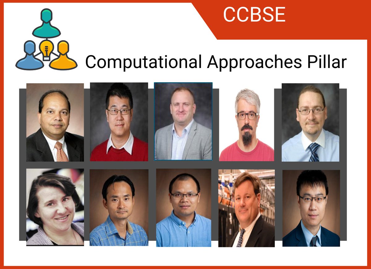 It's Computer Science Education Week! Learn about how the ND-ACES Computational Approaches team uses computational tools to investigate cells, materials, scaffold structures, and bio-interfaces from the length scale of atoms to cells: bit.ly/2HlsUKB