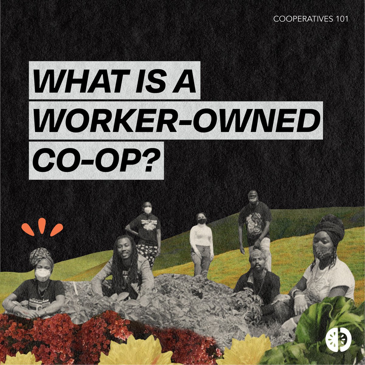 coop_east tweet picture