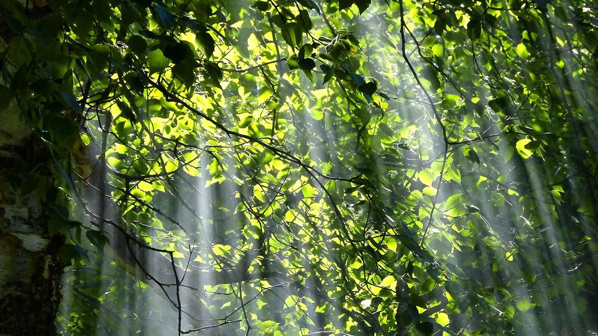 Our world is at a crossroads, where we can either make the collective decision to act in favour of social and climate justice, or continue to go on with “business as usual”.

New blog by alumna Hayley Knox. 💧 🍃 ☀️ 🌡️ 
Read more here ➡️  bit.ly/37xAmeM