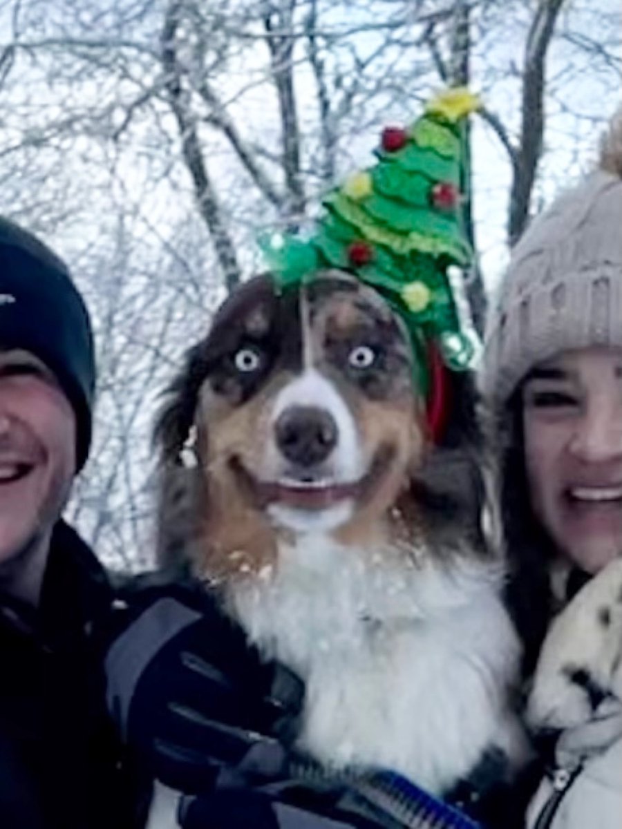 aussiesdointhgs's tweet photo. I think someone just saw Santa🎅🏼🎄
📸 IG corey_scarano https://t.co/5kudAwluvz