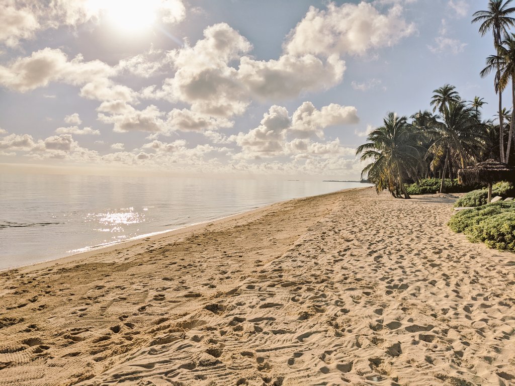 Jake Emen tweet media