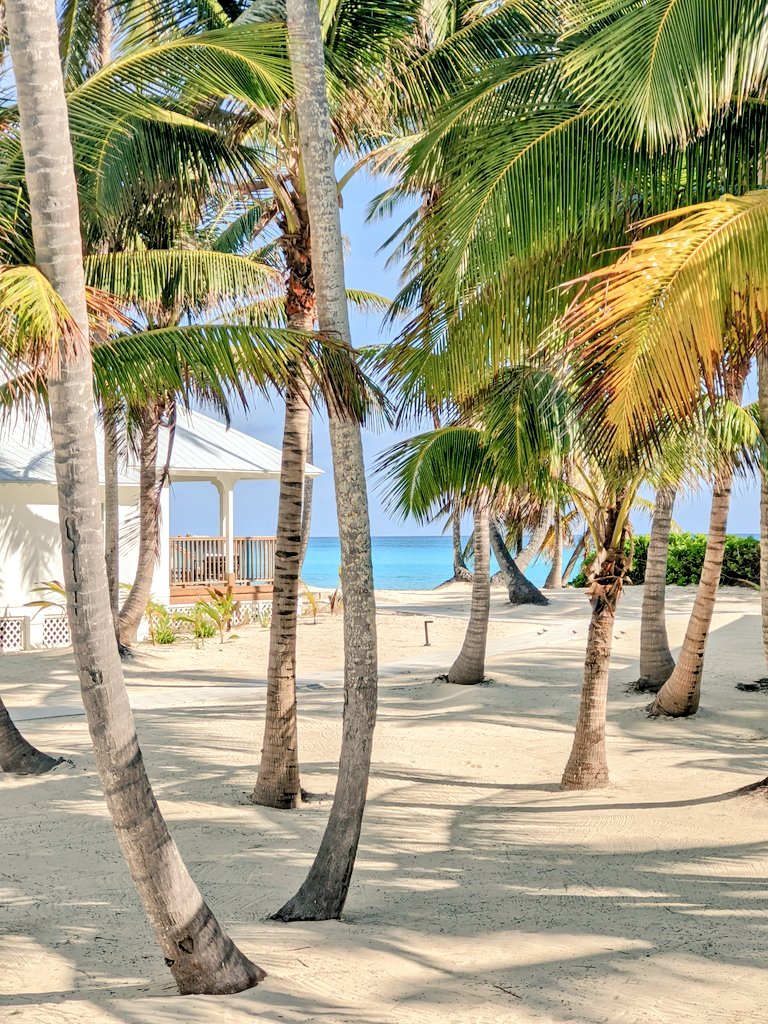 Jake Emen tweet media