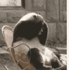 @ChanglingQuiet yiss https://t.co/7Ac7Mvik2i<a class="tags" target="_blank" title="On Twitter" href="/?out=eyJ0eXAiOiJKV1QiLCJhbGciOiJIUzUxMiJ9.eyJpYXQiOjE3MjYyODQ1NDMsImlzcyI6InR3cG9ybnN0YXJzLmNvbSIsIm5iZiI6MTcyNjI4NDU0MywiZXhwIjoxNzU3ODIwNTQzLCJyZWRpcmVjdF91cmwiOiJodHRwczovL3R3aXR0ZXIuY29tL0NoYW5nbGluZ1F1aWV0In0.Ivp8Bjivdyuoadl4jyBRyfyHo-mQ8kl_evUuCNCtnWnEoe40rk8YZrF-BF8ZZDxuXzcq9FuHH9FpDD59iWi9pA">@ChanglingQuiet</a><a href="/tag/wutangclan"class="tags"><span>#wutangclan</span></a><a href="/tag/eroticaudio"class="tags"><span>#eroticaudio</span></a><a href="/tag/audioporn"class="tags"><span>#audioporn</span></a>