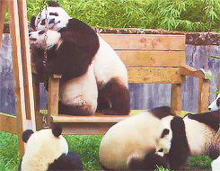 @ChanglingQuiet https://t.co/gOkGl3O7UN<a class="tags" target="_blank" title="On Twitter" href="/?out=eyJ0eXAiOiJKV1QiLCJhbGciOiJIUzUxMiJ9.eyJpYXQiOjE3MjYyODQ1NDMsImlzcyI6InR3cG9ybnN0YXJzLmNvbSIsIm5iZiI6MTcyNjI4NDU0MywiZXhwIjoxNzU3ODIwNTQzLCJyZWRpcmVjdF91cmwiOiJodHRwczovL3R3aXR0ZXIuY29tL0NoYW5nbGluZ1F1aWV0In0.Ivp8Bjivdyuoadl4jyBRyfyHo-mQ8kl_evUuCNCtnWnEoe40rk8YZrF-BF8ZZDxuXzcq9FuHH9FpDD59iWi9pA">@ChanglingQuiet</a><a href="/tag/wutangclan"class="tags"><span>#wutangclan</span></a><a href="/tag/eroticaudio"class="tags"><span>#eroticaudio</span></a><a href="/tag/audioporn"class="tags"><span>#audioporn</span></a>