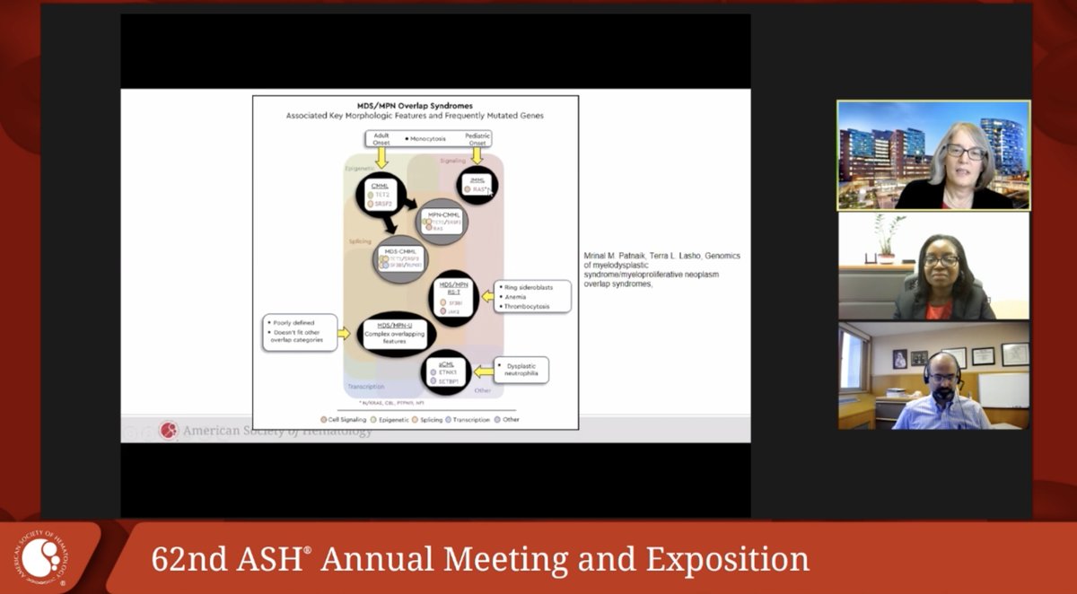 Anand_88_Patel's tweet photo. The session is now kicking off with a great summary by Dr. Moliterno (@mpncare) of the talks! Images below are of the visual abstracts accompanying each topic

https://t.co/LHuytlu0oX https://t.co/1BJBugYW9N
