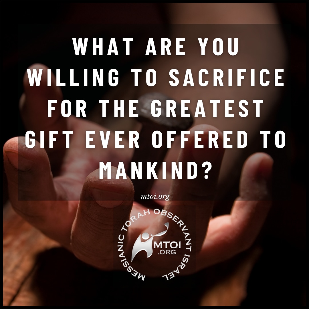 MTOIworldwide's tweet photo. What are you willing to sacrifice for the greatest gift ever offered mankind? 
So many have sacrificed so much (careers, family, etc...) to do and be where they need to be. While others worry and stress about being judged for what they believe. The question is, what's your price? https://t.co/aB4YdFS2js