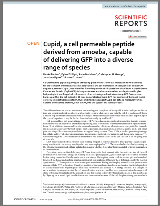 CupidPeptides's tweet photo. First Cupid Paper published in Nature Scientific Reports
https://t.co/LYT9w0Q3nM
Cupid, a cell permeable peptide derived from amoeba, capable of delivering GFP into a diverse range of species 

@ibers_aber @cardiffuni @lshubwales @SwanseaUni @AberUni #CellPenetratingPeptides https://t.co/q8oWfACQmd