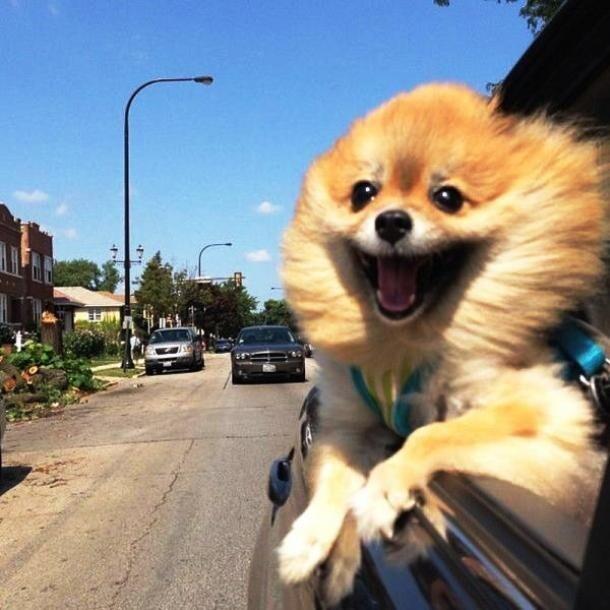 onepeloton's tweet photo. When another Member gives you a high-five during the final sprint https://t.co/Cvm4sn3B7j