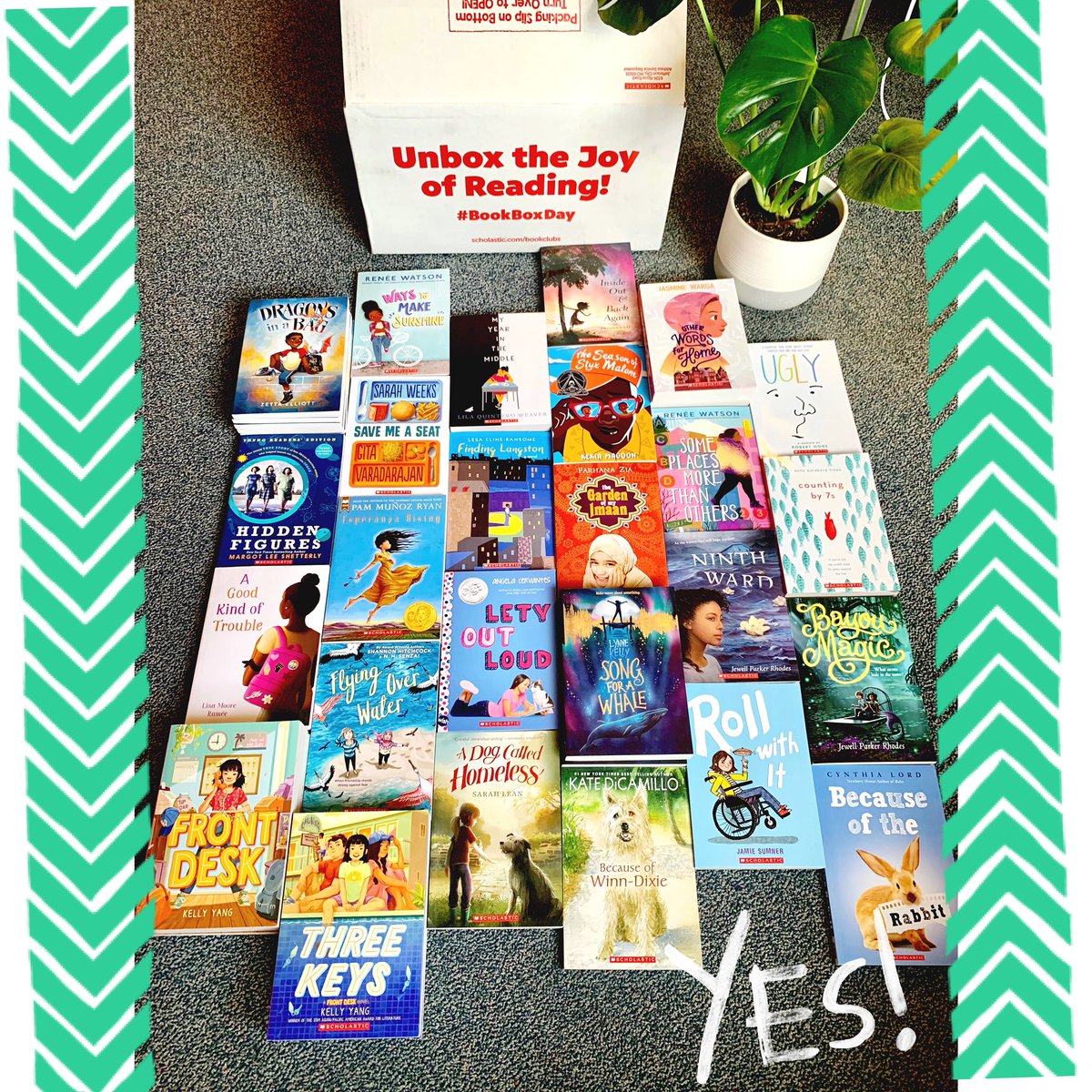 brightfulbunch's tweet photo. Hooray for #bookboxday !! Thanks @Scholastic for offering so many diverse titles for our classrooms! I can’t wait for the kiddos to dig into these!! 📚 ❤️ #LikeAKidInACandyStore #RepresentationMatters https://t.co/WBSTq46qkz