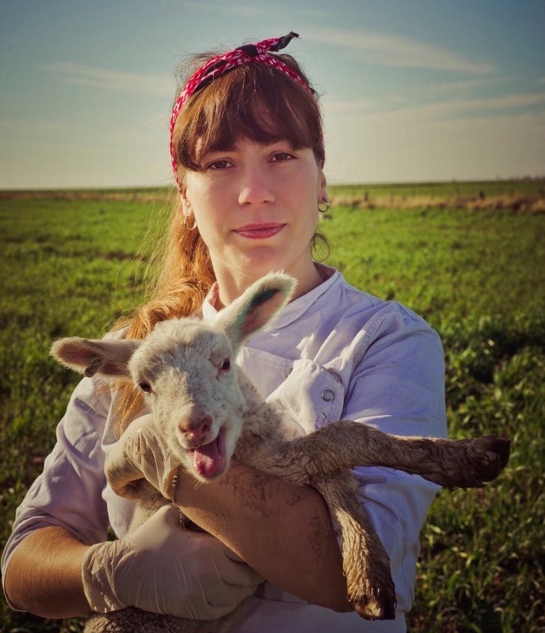 📸 #LaFotoDelDía PAMPINTA 
Por Flor Borsani <a href="/PampaRoja/">Pampa Roja</a> 

📍 <a href="/intaanguil/">INTA Anguil</a> 

lapampanoticias.com.ar