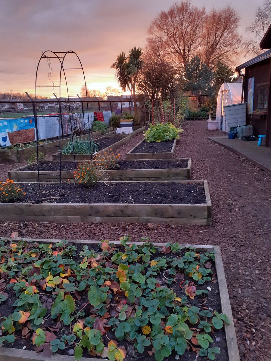 LisaD_CoopMP's tweet photo. Had a really fun afternoon meeting one of the Port Seton local causes Seed to Plate, part of the In Bloom initiative. They have been growing fruit, vegetables, herbs and plants year round and during the pandemic have donated these to families in need. https://t.co/iiws8FfqRA