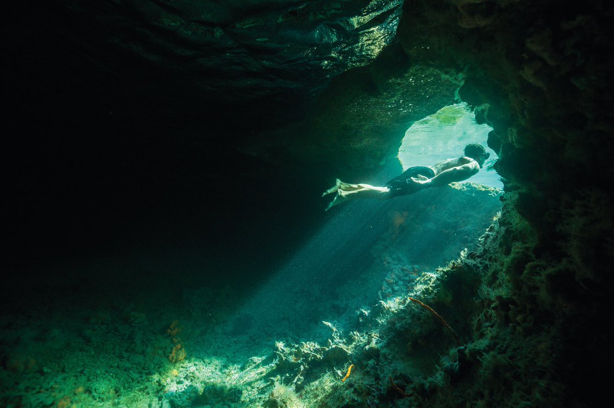 Diving in The Bahamas tweet media