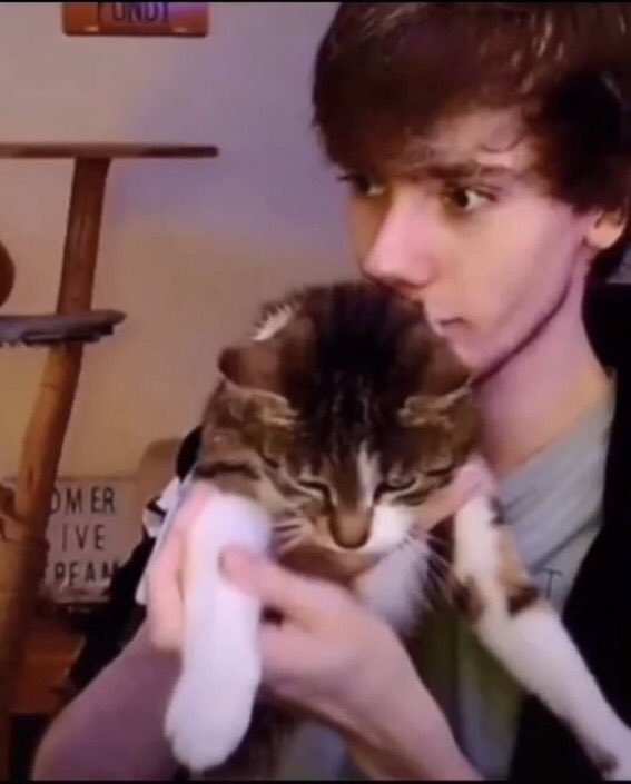 niki and fundy with cats!