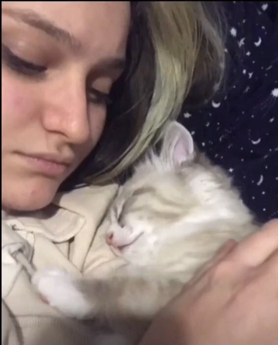 niki and fundy with cats!