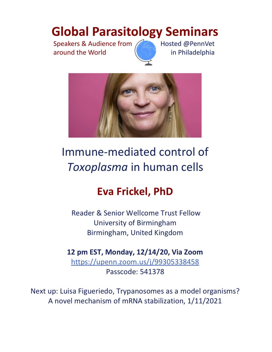 Next Global Parasitology Seminar: Eva Frickel on Immune-mediated control of Toxoplasma in human cells. Mon 12/14 12 pm EST. Don't miss it! upenn.zoom.us/j/99305338458 @Penn_IFI @pennbgs @pennvet @TrendsParasitol @BSPparasitology @DParasitologie @WiParasitology