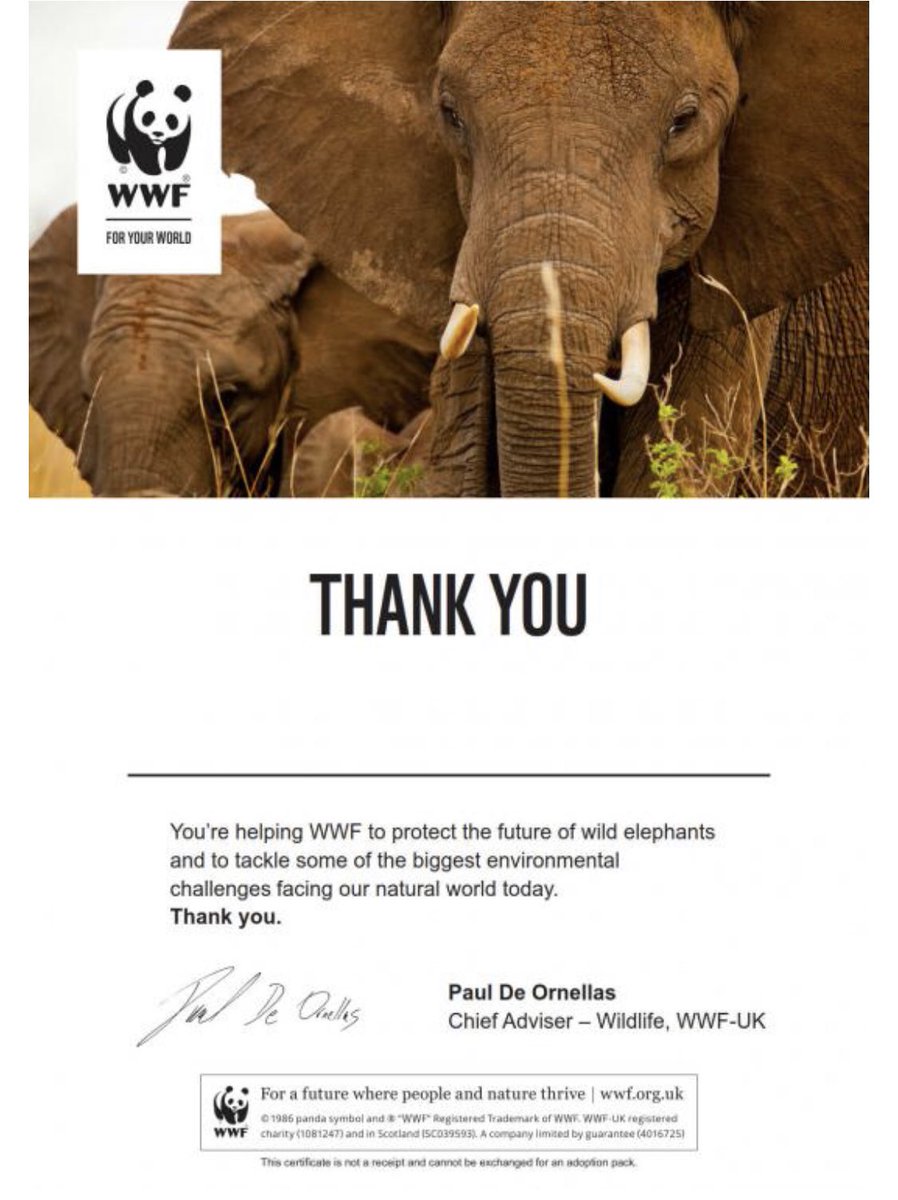 Hareside Primary School tweet media