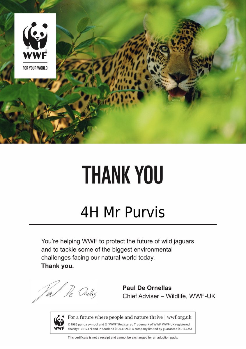 Hareside Primary School tweet media