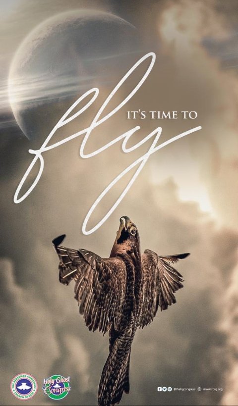 MercylandLP9's tweet image. 