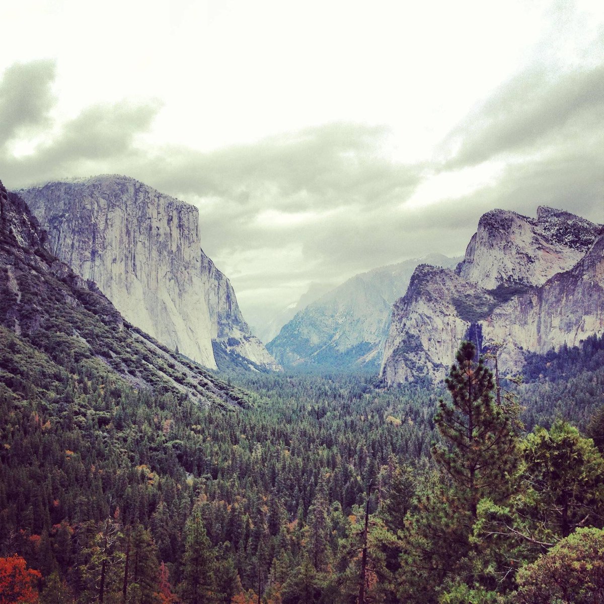 Ruschtotheoutd1's tweet photo. My niece captured this lovely shot of the Tunnel View in Yosemite. It's the view that made Ansel Adams famous.📷@sacredaverill @oldhouseunder50 #natonalparks
#yosemite #yosemitenationalpark #nps #mountans
#yosemitevalley #tunnelview #brea #CA #valley #scenic #scenicview #view https://t.co/d4R817xJgh